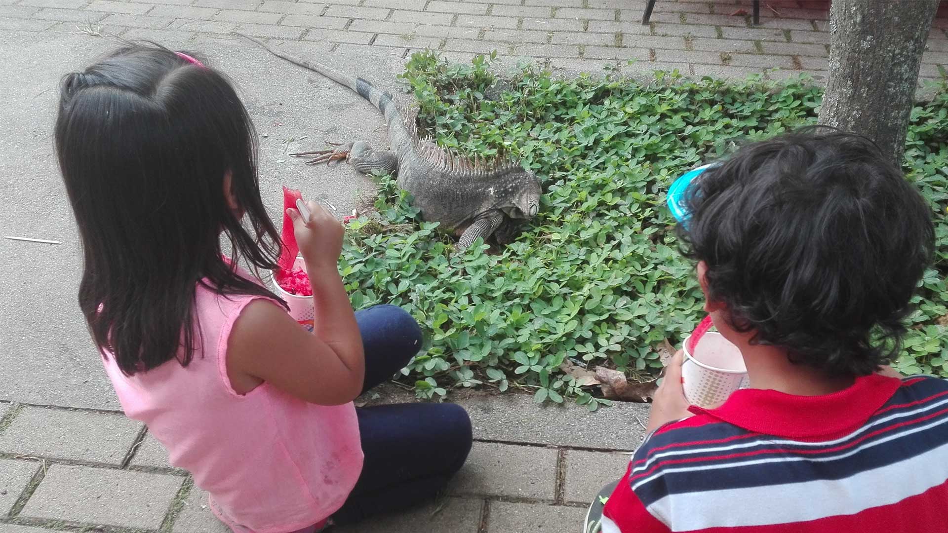 El Bazar de la Confianza tras la mirada de Anahí